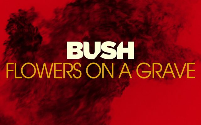 420 Hit of the Day – Bush – Flowers On A Grave