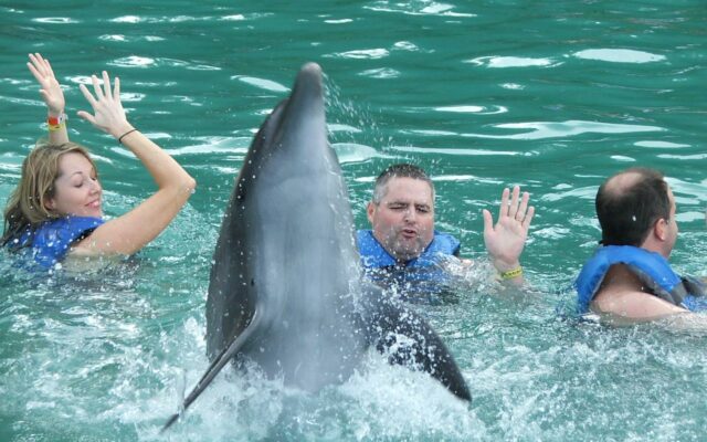 Give your life “porpoise”… go on the Cabin Fever Getaway!!!  Get On The Waiting List NOW!!!