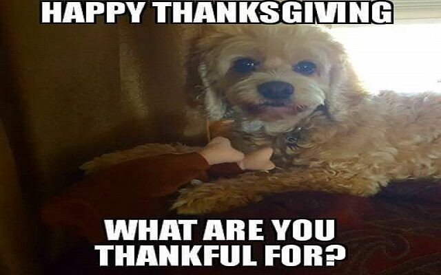 What Are You THANKFUL For??