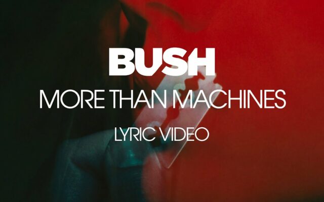 BUSH – More Than Machines