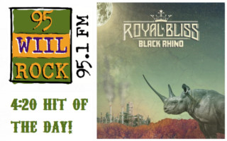 Royal Bliss – Black Rhino