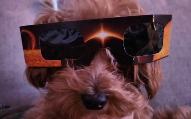 Pay your eclipse glasses forward!